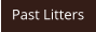 Past Litters